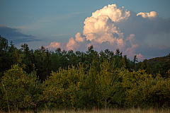 20140723204204 64482