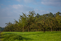 20140922084945 71679