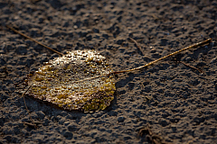 20141103101038 76995