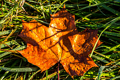 20141103102517 77049