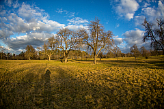 20140217165743 53553