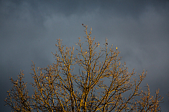 20140217172131 53735