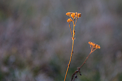 20140217172440 53771