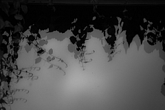 20150802163222 92871 1280px