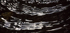 20150802172617 93090 1280px