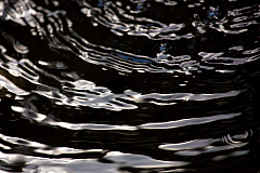 20150802172622 93095 1280px