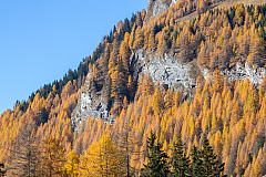 Azienda Termine 2