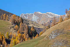 20151101134504 101125