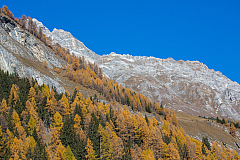 20151101134615 101135
