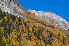 20151101134617 101138