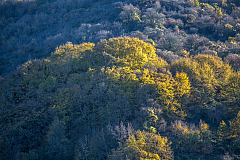 20151108162323 102034