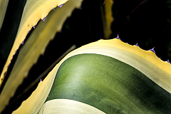20150820115745 95541