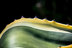 20150820115912 95559