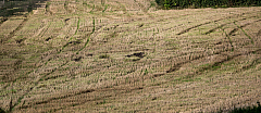 20150924111510 98623