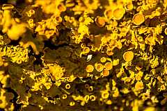 20150131100049 84889 1280px
