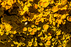 20150131100101 84895 1280px