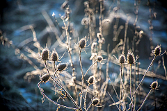 20150211090141 85010 1280px