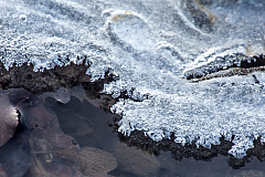 20150211090207 85012 1280px