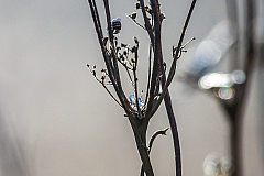 20150213090756 85135 1280px