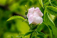 20150529080205 97176