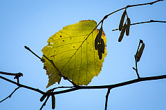 20151118102237 103539
