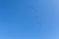 20150418175245 0607