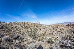 20150410092436 92714