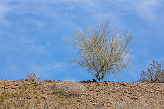 20150405151112 92107