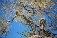 20150414101132 93489