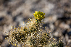 20150415175528 93756
