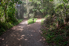 20150423111530 0688