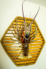 20150322222053 87365