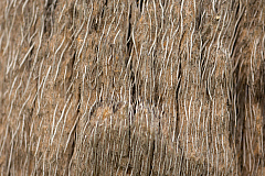 20150323152801 87644