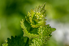 20150504093153 93431