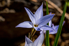 20150504094054 93510