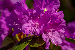20150504094157 93521