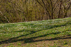 20150504094842 93573