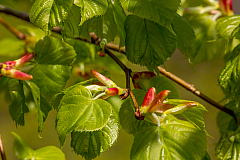 20150504100414 93672