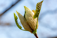 20150504101603 93793