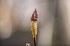 20150504101629 93805
