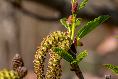 20150504101717 93815