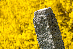 20150504103509 94003