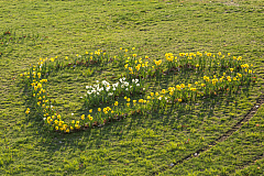 20150504171930 94101