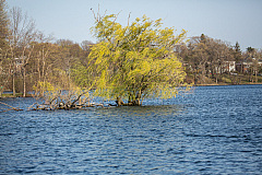 20150504173444 94216