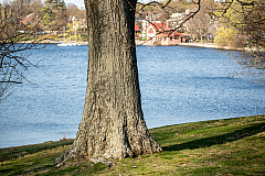 20150504174427 94254