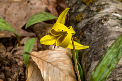 20150503112515 93252