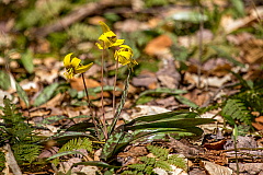 20150502104857 90248