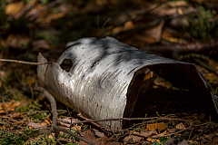20150502105456 90264