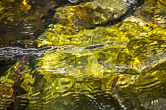 20150502115110 90322