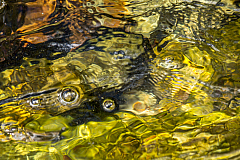 20150502115112 90325